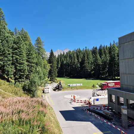 Apartment Corvatch-sunflower