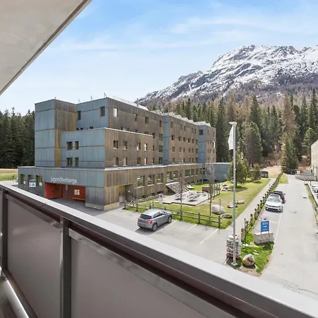 Corvatch-sunflower