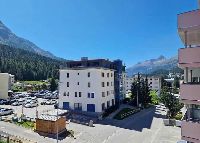 Corvatch-sunflower Daire Saint-Moritz
