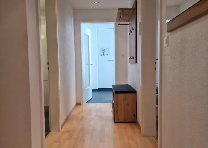 Corvatch-sunflower Daire